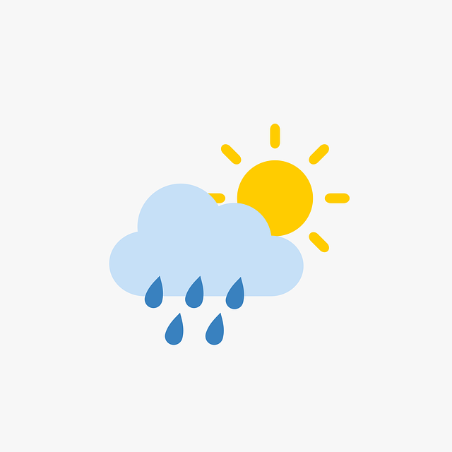 https://jawaaf.com/storage/01J95FR99FNK1BY8P9CHVEYKWT.webp